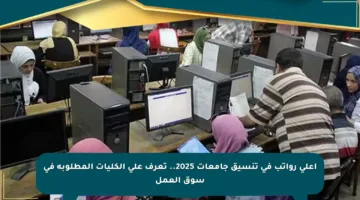 أعلى رواتب في تنسيق جامعات 2025.. تعرف على الكليات المطلوبة في سوق العمل